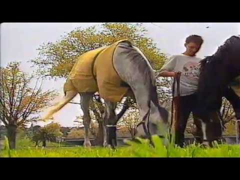 1993 VRC Derby Day Racing Panel Preview