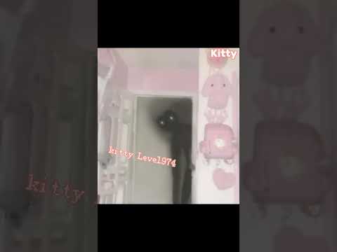 Kitty house "LEVEL 974" #shorts #backrooms
