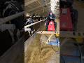 Incredible feed cutter #farm #cows #feed