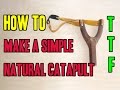 HOW TO MAKE A NATURAL CATAPULT THE EASY WAY SLINGSHOT MAKING