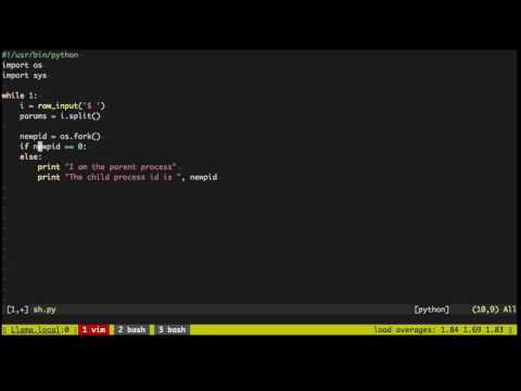 What happens when you type a command in the terminal?