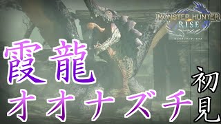 オオナズチ初見プレイ【MHRise】