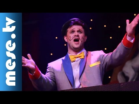 MintaPinty Zenekar -  Kész MintaCirkusz! (gyerekdal) | MESE TV