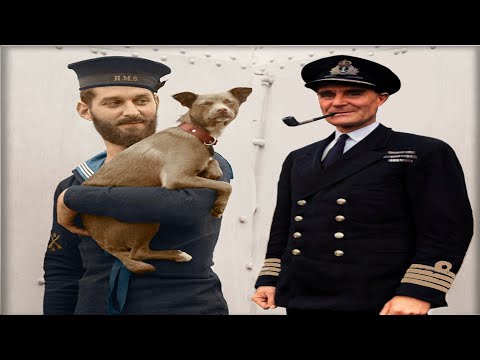 U-boat hunter':  Captain Johnnie' Walker's HMS Stork