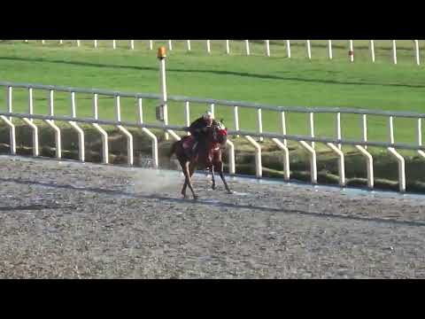 TOPO DO SUL.REVISTA INVASOR