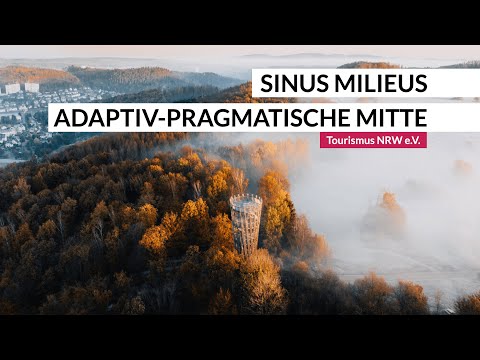 Erklärvideo der Adaptiv-Pragmatischen Mitte