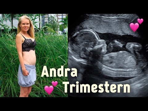 ANDRA TRIMESTERN UNDER MIN GRAVIDITET (VI FÅR ÄNTLIGEN SE VÅRAN BABY)