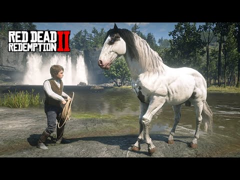 Domando o CAVALO PASSO FINO  -  O PEQUENO DOMADOR DE CAVALOS  -  Red Dead Redemption 2