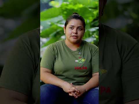 Conoce lo que está ocurriendo en el reportaje completo en nuestro canal de YouTube.🏡