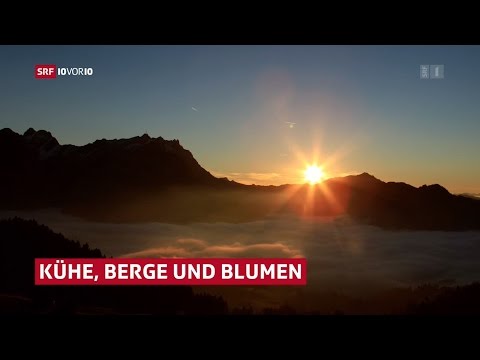 ALPZYT | 10vor10 News vom 28.11.2016