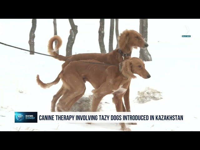 Тайган нерв ооруларын дарылайт