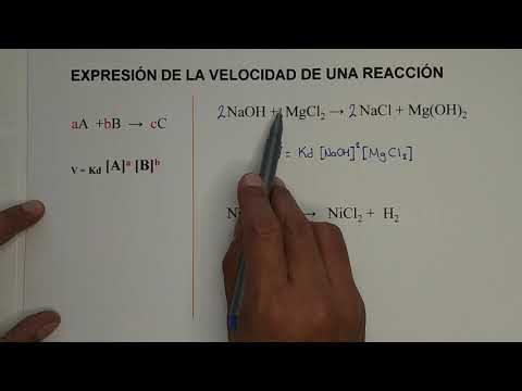Expresión de la velocidad de una reacción