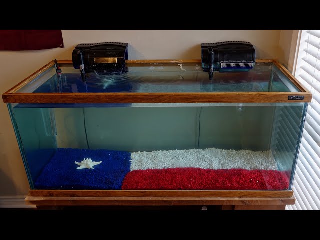 My Texas Fish Tank!