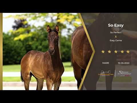 So Easy (So Perfect x Easy Game)