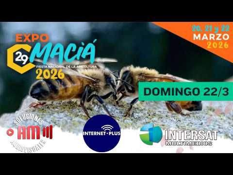 EXPO MACIA 29° - EXPO APICULTURA DEL MERCOSUR (DIA DOMINGO)