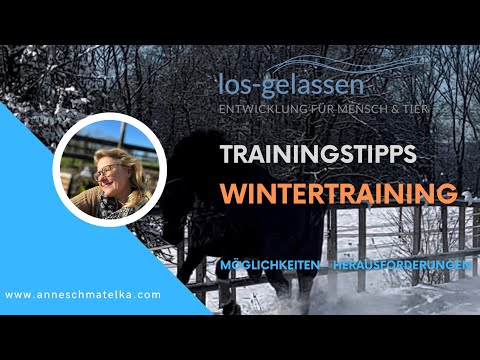 Wintertraining für Dein Pferd | Auszug aus dem Webinar