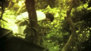 Soilwork - &quot;Exile&quot; (Goat Edition)