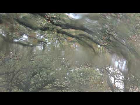 POESIA LA NATURA CANTA DI ALBERTO DI GIGLIO