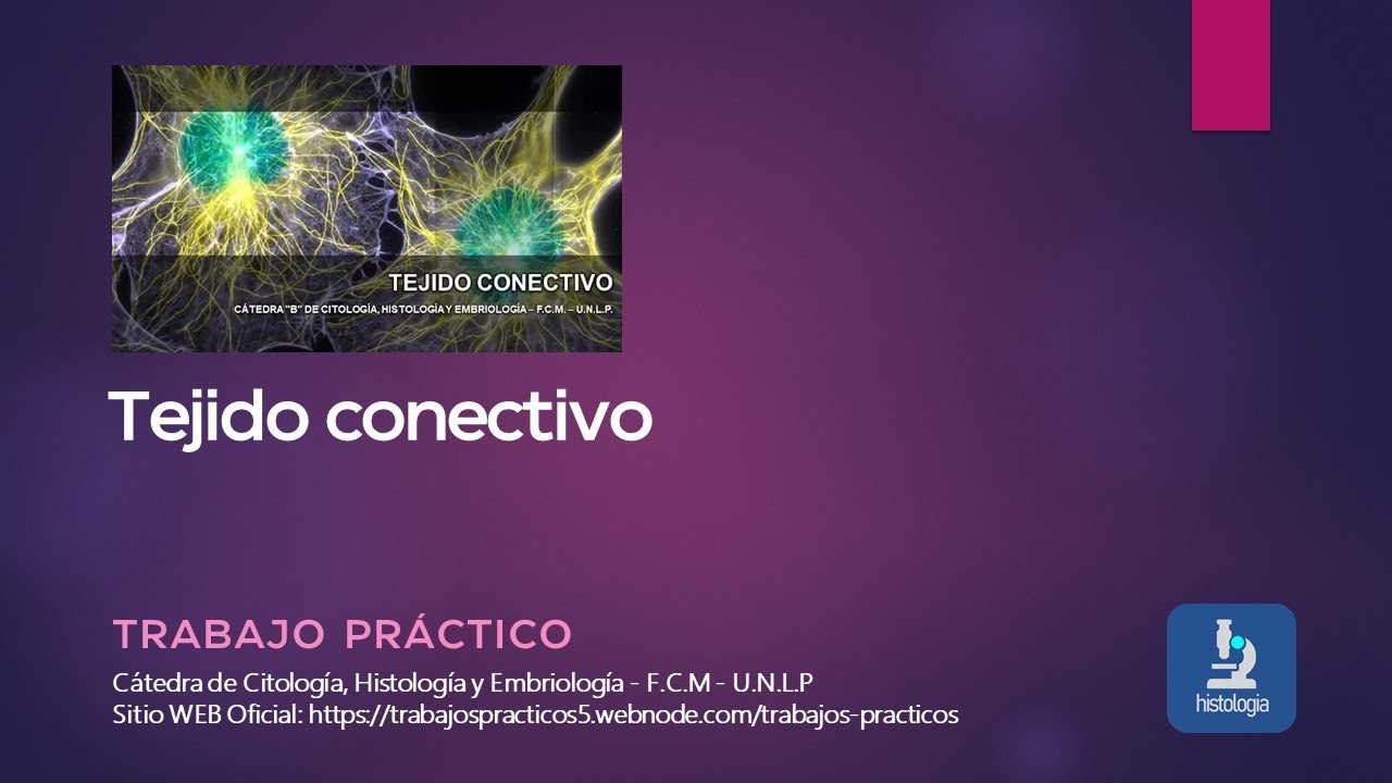 TEJIDO CONECTIVO - TRABAJO PRÁCTICO
