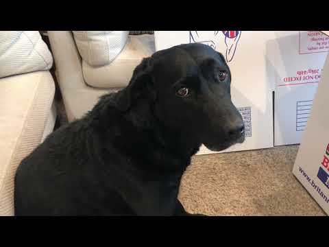 Olive and Mabel - Exit the Stage