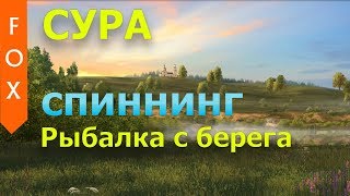 Места для ловли спиннингом на суре
