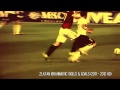 Zlatan Ibrahimovic  Skills Goals (2011 2012)