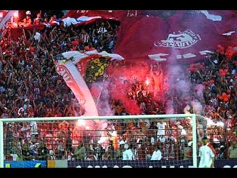 TORCIDA JOVEM FANÁUTICO