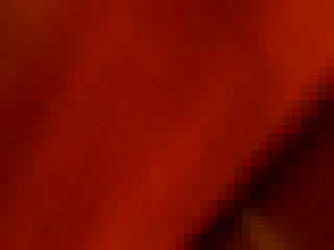 the ameritrade westinghouse elevator