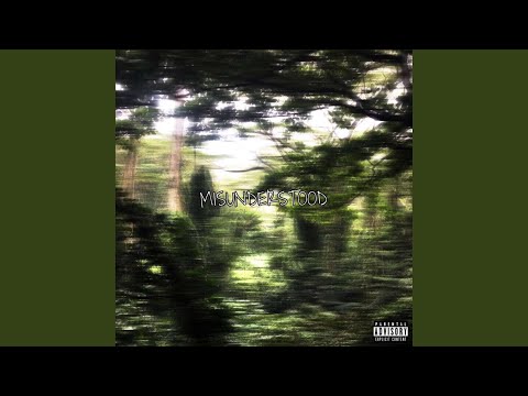 Misunderstood