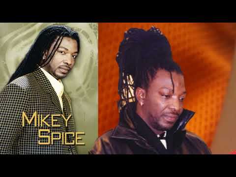 Mikey spice Best of Reggae lovers rock culture mix
