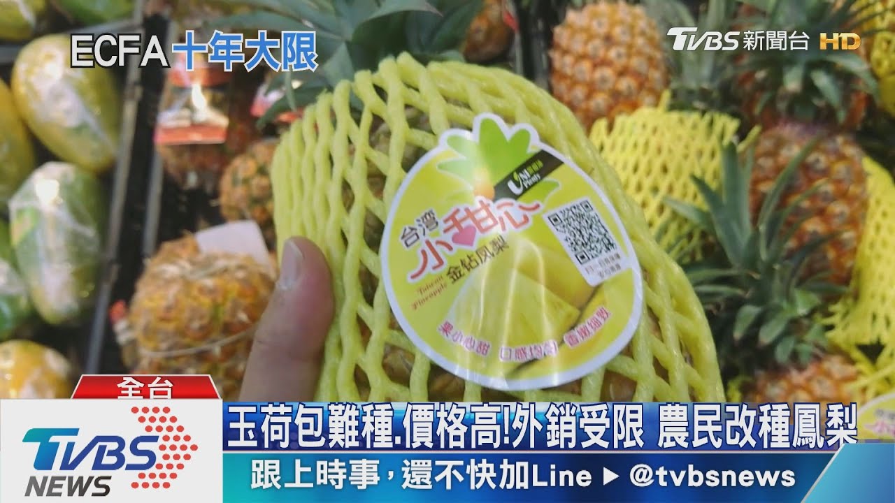 港版國安法對台灣殺雞儆猴 兩岸暴風雨前的寧靜?