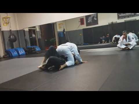 BATTLE CONTROL MMA BJJ