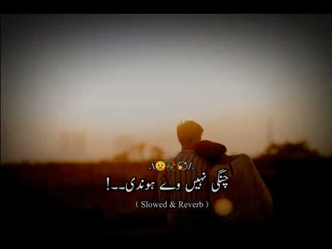 Dil Devain Ya Na Devain Batha Kol Rahvain [ Slowed and Reverb] Saraiki Song