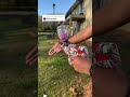 Do The Orb Blasters Hurt Gelblaster Orbeez Airsoft Tactical Gun Toys Nerf Shorts Boys