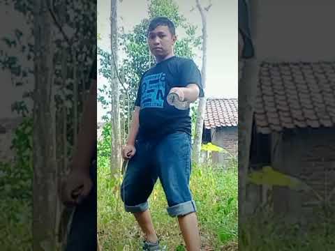 the last samurai #humor #action