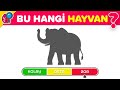 HAYVAN GÖLGE BULMACASI: Bu Hayvanların Kaçını TAHMİN Edebilirsin? 🧐| Kolay, Orta, Zor | Bul Bakalım