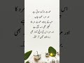 Urdu Quotes Viralfeed Status Shorts Viralvideo Quotes Poetry Trending Cover Music Sad