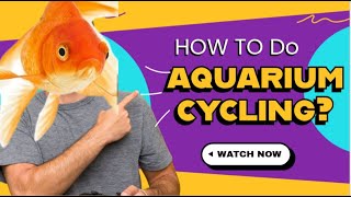 അക്വാറിയം സൈക്ലിംഗ് എന്നാൽ എന്താ?? How to do aquarium cycling, importance in fish hobby.