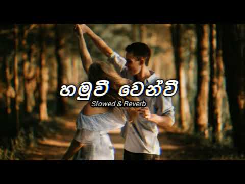 Hamuwi venwi | slowed and reverb | හමුවී වෙනවී ගෙවෙනා | Rikizz music