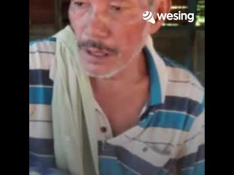 Satokkin Di Nipikki (Cover)