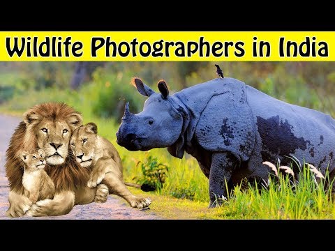 download lagu mp3 mp4 Top Wildlife Photographers In India, download lagu Top Wildlife Photographers In India gratis, unduh video klip Top Wildlife Photographers In India