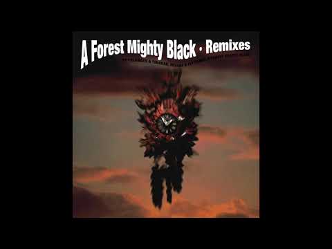 A Forest Mighty Black - Tides (Peshay & Flytronix Mix)
