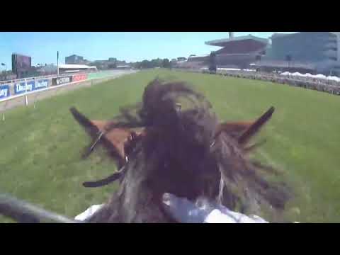 Jockey Cam vision of the finish of the Lexus Melbourne Cup