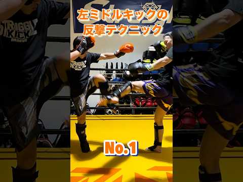 ◆◇◆左ミドルキックに反撃のミドルキック◆◇◆No.1