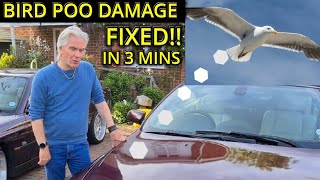 HOW TO FIX BIRD POO PAINT DAMAGE IN 3 MINUTES