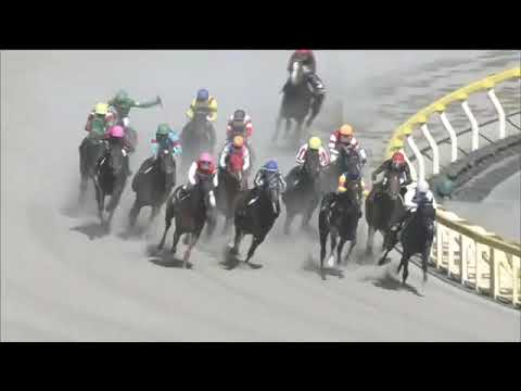2020.05.17 Seiryu Stakes (JPN) - Dieu du Vin