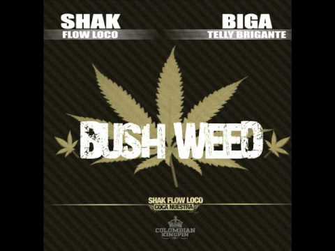 Shak Flow Loco ft Biga Ranx - BushWeed