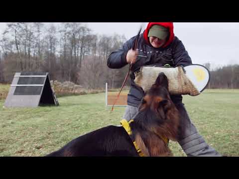 Quen vom Eichenplatz