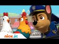 PAW Patrol Pups Save Chickens From Danger Nick Jr