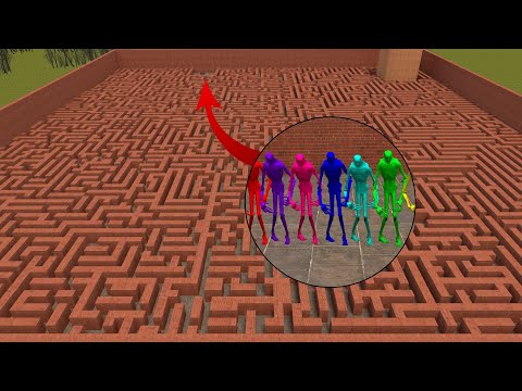 NEVER GO TO MAZE WITH RAINBOW SCP-096 In Garry's Mod